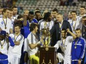"Динамо" - обладатель Кубка Украины 2013/2014