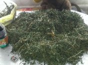 Наркотики на 250 тысяч гривен изъяли в Сумской области