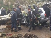 Количество пострадавших от упавших веток в Одессе увеличилось до трех