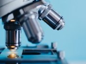 Разработан биопринтер, который может печатает кожу прямо на ране