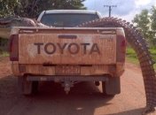 Австралия: континент, где каждое животное хочет убить вас (Фото)