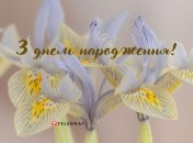 Поздравление женщине с днем рождения