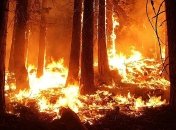 А як же перемир'я? Причиною масштабних пожеж на Луганщині стали обстріли бойовиків