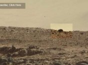 На Марсе уфологи заметили огромную мышь (Видео)