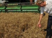 Государство сделало все, чтобы минимизировать колебания цен на зерно