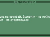 Большая порция смеха: вечерние анекдоты
