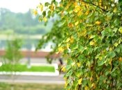 Погода на 1 сентября