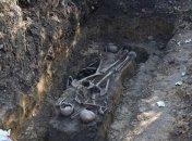 Жахаюче припущення: у Дрогобичі виявили нові захоронення жертв політрепресій (Фото, Видео)