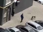 Под Киевом мужчина спустил собаку на бездомного пса и добивал его ногами: видео происшествия попало в сеть