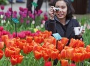 Открылся голландский парк цветов "Кекенхоф"