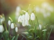 Прогноз погоды в Украине на 10 марта: солнечно и тепло