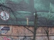 Ради баннера с рекламой спилили магнолию: фото из центра Киева наделало шуму в сети