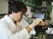 Раскрыты свойства пара-аминобензойной кислоты