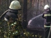 Масштабный пожар в лесопарковой зоне в Киеве: в ГСЧС сообщили подробности