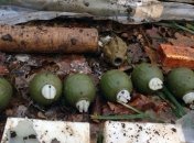 В Харьковской области области обнаружили схрон с оружием