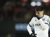 Іон Ніколаєску