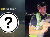 Поліція заблюрила морду кота