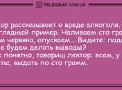 Все начинается с улыбки: свежая порция вечерних анекдотов