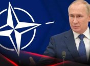 владимир путин давно почувствовал свою безнаказанность