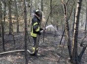 На Луганщині локалізували пожежу, залишаються три осередки тління