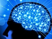 Зафиксирован необъяснимый случай активности мозга после смерти