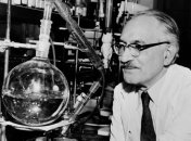 Сегодня медики отмечают "день рождения" антибиотика стрептомицина