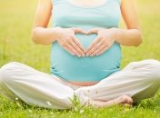 Лелека заявиться до трійки знаків