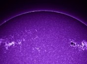 NASA показало снимок фиолетового Солнца