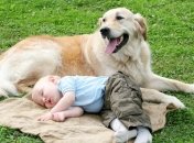 Дети храпят из-за животных