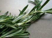 Розмарин поможет при проблемной коже