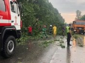 Непогода частично обесточила 8 областей Украины