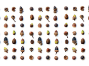 Поделки из желудей для детей: 10 оригинальных идей с фото