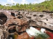 Каньо Кристалес - цветная феерия Колумбии