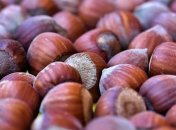 Положительно влияет на работу пищеварения: польза фундука