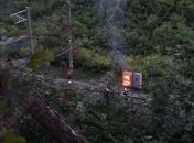 Релейный шкаф подожгли вечером 22 июля