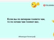 Ученые доказали, что на берег выбрасываются только те киты, которые уже накупались: подборка анекдотов на вечер