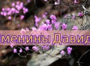 Именины Давида: значение имени и оригинальные поздравления в стихах
