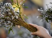 Вербное воскресенье-2019: когда ждать и какие традиции нужно вспомнить