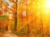 Погода в Украине на сегодня: будет солнечно и тепло 