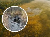 Болота занимают более 6% площади Литвы.