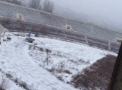 Футбольное поле заросло сорняками: как выглядит стадион в Донецке после прихода в город "русского мира" (фото)