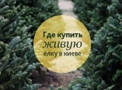 Где в Киеве можно приобрести елку: адреса елочных ярмарок столицы