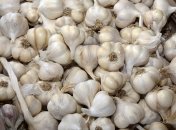 Помогать растению необходимо в ранние сроки