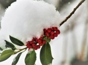 Какой завтра праздник: обычаи и традиции на 4 декабря