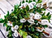 Головні молитви на Вербну неділю 2023