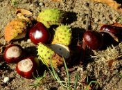 Теплые вещи пока доставать не стоит: когда в Украину придет похолодание