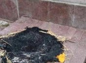 Устроили "пикник": под Полтавой вандалы надругались над памятником над памятником погибшим на войне (фото)