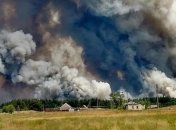 Поліція назвала три основні версії виникнення масштабної пожежі на Луганщині