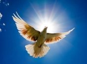 Определено место Украины в рейтинге миролюбия стран 