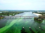 Из-за нехватки кислорода Днепр цветет, а редкие рыбы погибают